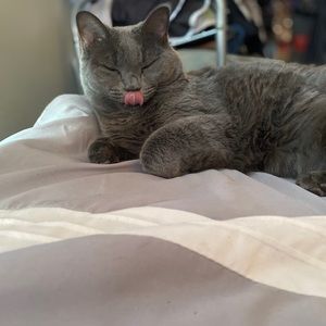 Meet your Posher, Leslie